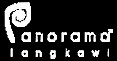 panorama-logo